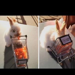 Meet your Posher, Blake